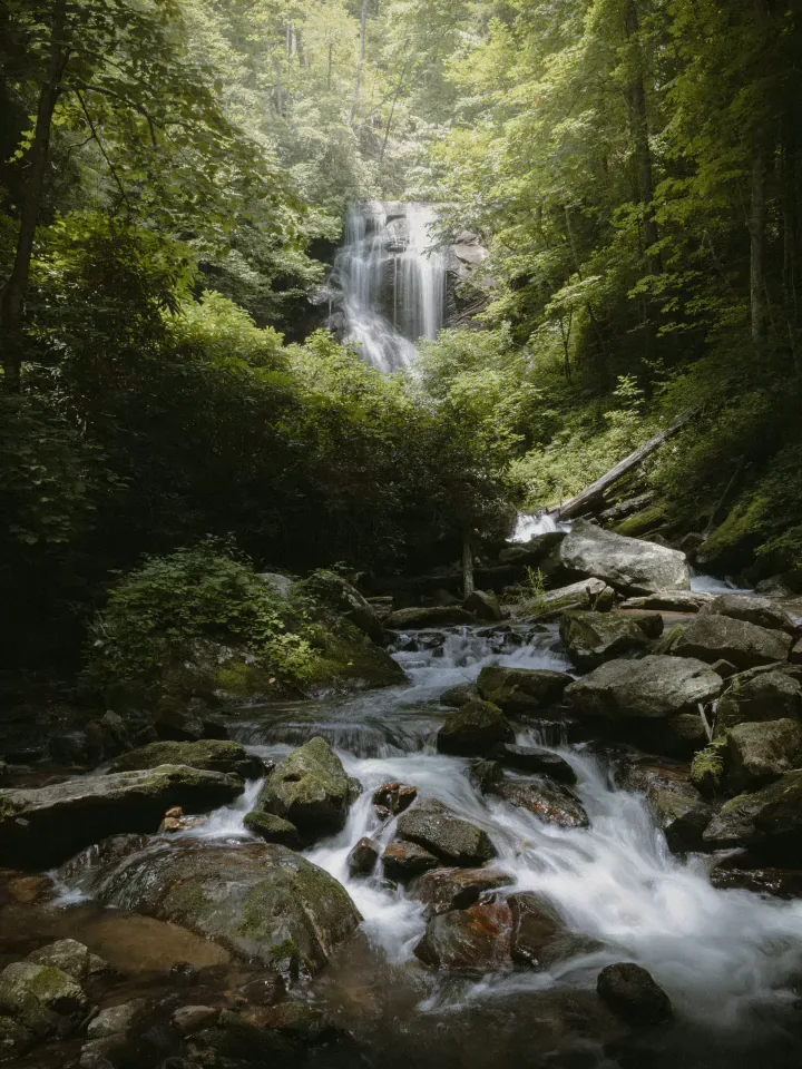 A forest waterfall set flowing by AI edit.