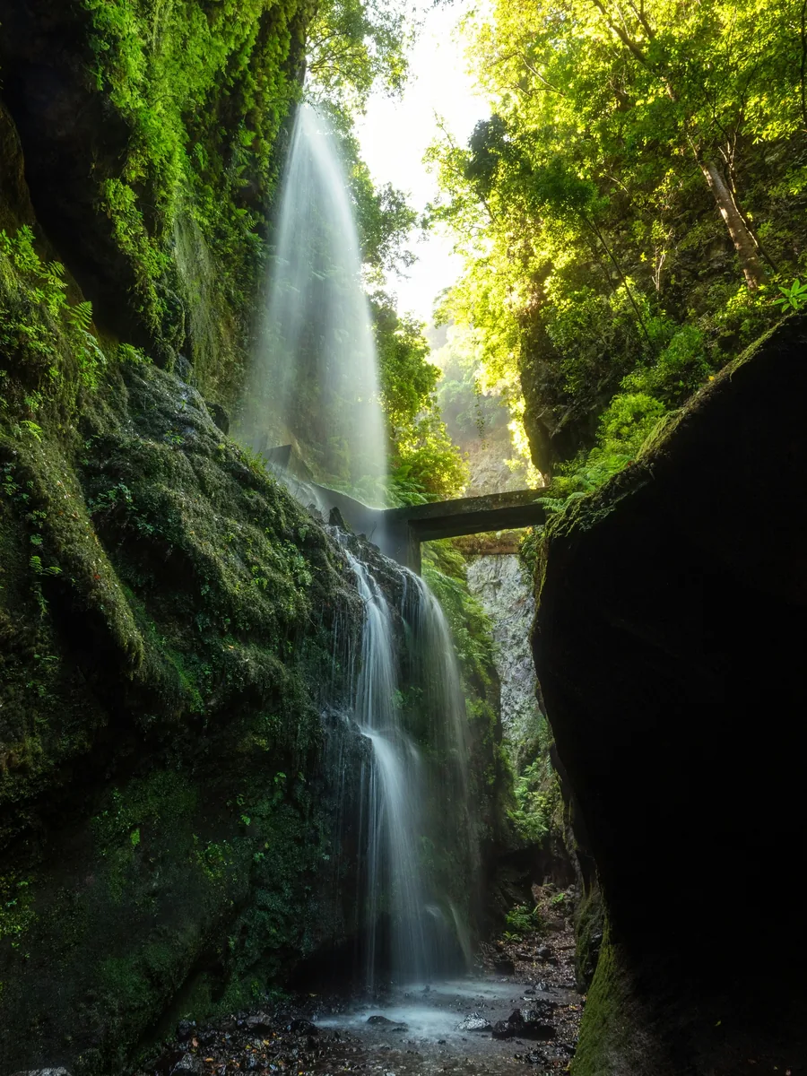 A waterfall in a La Palma gorge, the water flowing and the rock walls held still.